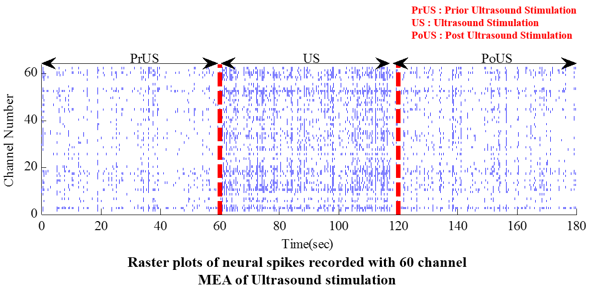 Raster plots of neural spikes recorded with 60 channel MEA of Ultrasound stimulation