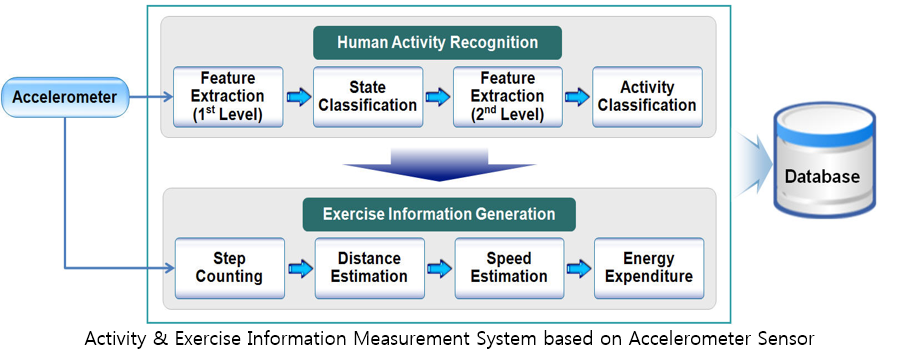 Activity & Exercise Information Measurement System based on Accelerometer Sensor